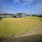 カーオーディオとデッドニングの専門店 alive sound factory