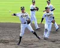 上本＆鳥谷で阪神二遊間！１７日・日本ハム戦、ともに先発なら３年ぶり