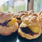 しなやかに歌って