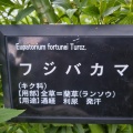 現在の状況261016