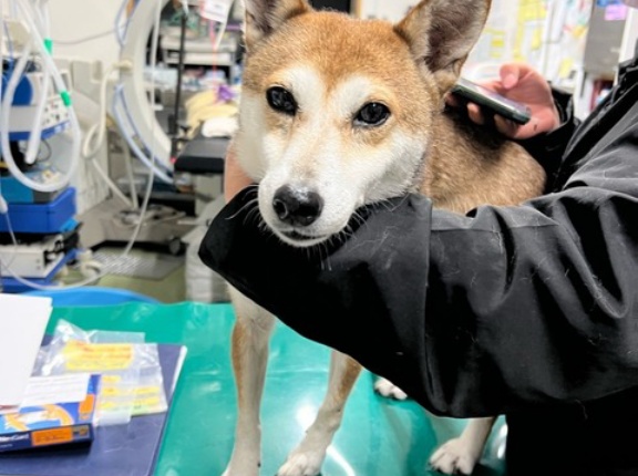 今夜も頑張ってます、