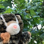 【黒いうさぎのれおんくん∂⍵∂】