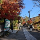 �ع��դο�����٤β���