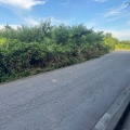 通学路美化活動