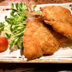 豊橋まといずし日記