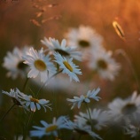 『暑いから消したんだ』の画像