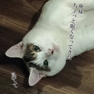 ずるいと思ったらいかん。と、一回攻撃されたときのハート作りました。