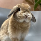 クリスマスイブガール♪