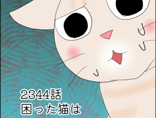 あんこ＆麦2344 困った猫は