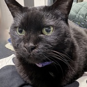 毎日スミちゃんの視線を感じてる