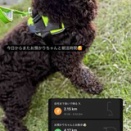 5月3日　明日はお休みです◡̈