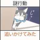 謎行動、追いかけてみた