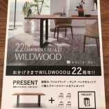 �إ磻��ɥ��å�22��ǯ�����ڡ��󡦥ޥ������������롦6��27���ޤǡ٤β���