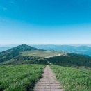 定期借地権　～借地借家法　その２～
