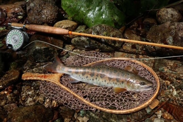 横田ロッド TN244 6f6in ♯3 J.Yokota maker 1030 バンブーロッド | J