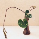 最後のトレモロ（バリオス）－朴葵姫