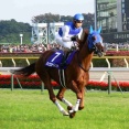 競走馬の名前を書いていくトピ