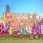 『ブリスベンエスコート求人情報』の画像