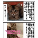 足にハンディ カノンその後