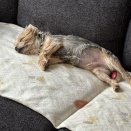 ズボラストレッチ見つけました～♪