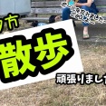 夕方はずいぶん涼しくなりました。