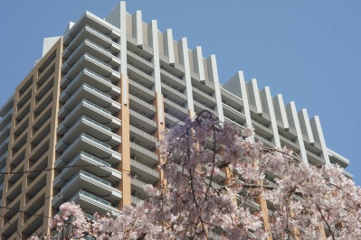 CANON LENS 50mm F1.8 Lマウント　作例あり ぐるぐるボケ好きにおすすめオールドレンズ「Canon FL 50mm F1.8」作例