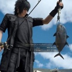 ゲーハー黙示録