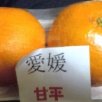 グルメ探訪と温泉