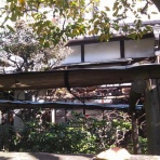 壊れた玩具で遊ぶ日々