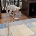 ミルテちゃん、ソワレちゃん、はじめまして