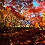 『2025『越畑ふるさと村』哀愁漂う風景❼ 岡山県苫田郡鏡野町』の画像