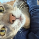 甘甘ボーイの抱っこで、家事が進まない