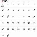 11月のおやすみ