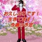 まみむめもっちのドラクエ☆１０日記