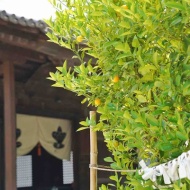 【世界遺産】ロマン溢れる♬ 聖徳太子生誕の地・橘寺