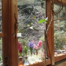 春の光と梅、桃、桜