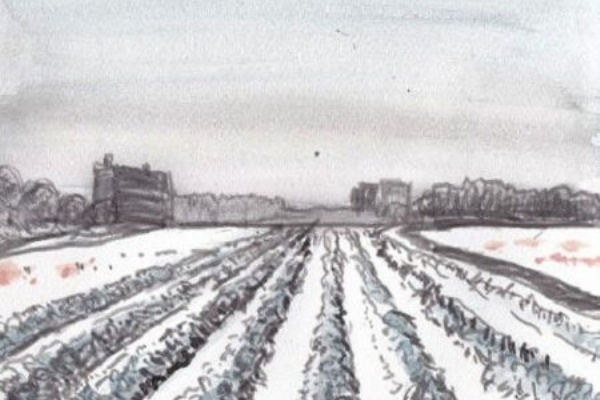 Ikuoの水彩画集 野菜