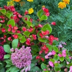 神崎みどり  OFFICIAL  BLOG