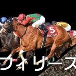 『フィリーズレビュー(G2)【掟破りの金になる話】』の画像