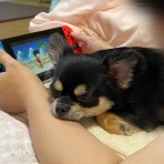 日々のくらし手帖