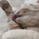 どうも、猫です。😁