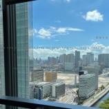 『正しさと人気 vol.3687』の画像