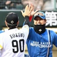 【急募】日本ハムファイターズがここからパ・リーグ制覇する方法