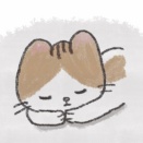 こだわりの寝方