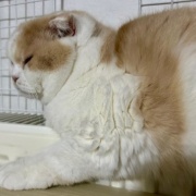 100円ショップで買ったお掃除グッズ