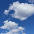 逃げる 逃げる…