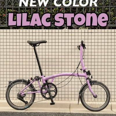 DAHON VISC. P20 Matt Black Limited : wadacycle news