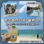 太陽と音のBlog