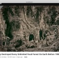 なぜ彼らは1900年以前に地球上のあらゆる無尽蔵の食料供給林を破壊したのか
