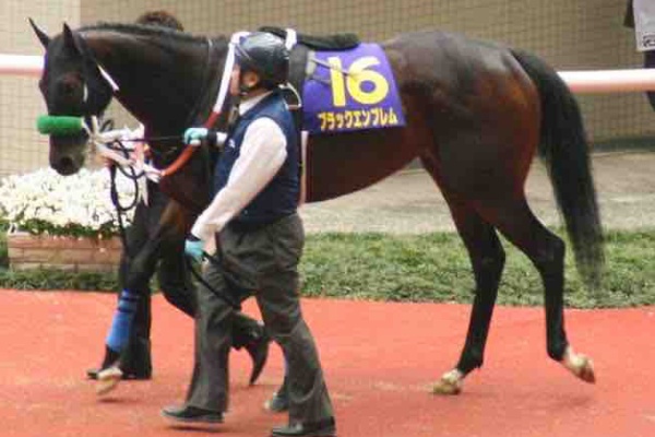 新入一口馬主の活動履歴 22